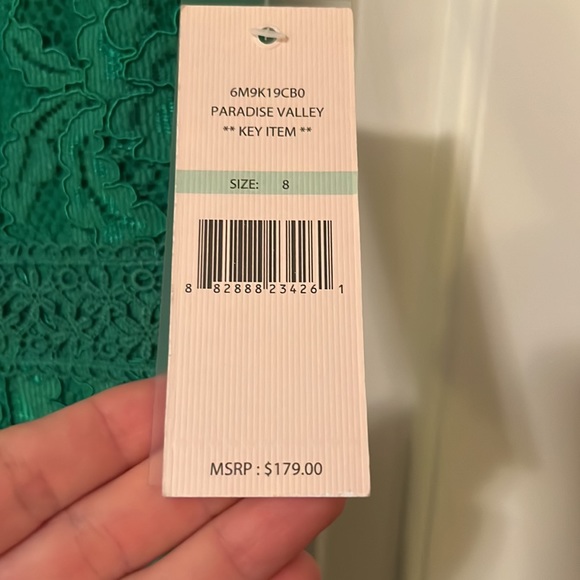 💚Green Lace Dress💚 - Picture 3 of 6